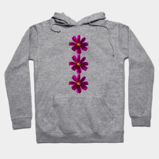 Dark Pink Cosmos Three Flowers Floral Photo Hoodie